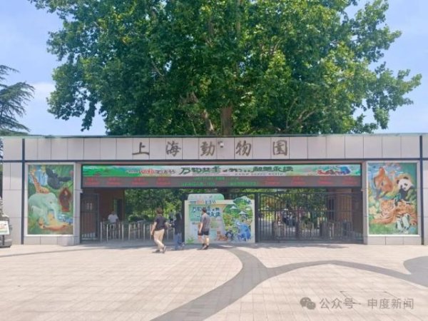 配资炒股新手入门 10月龄婴儿上海动物园内喝奶瓶被驱赶，园方称做法合规无需道歉，网友吵翻